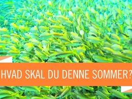 Ungdomsprojekt 2015 Ungdomsprojekt 2015