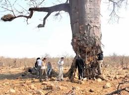 SYDAFRIKA: Ungdomsprojekt - Menneskerettigheder SYDAFRIKA: Ungdomsprojekt - Menneskerettigheder