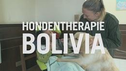 Hondentherapie in Bolivia Hondentherapie in Bolivia