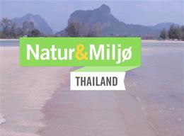 Skildpadderne på Natur & miljøprojektet Skildpadderne på Natur & miljøprojektet