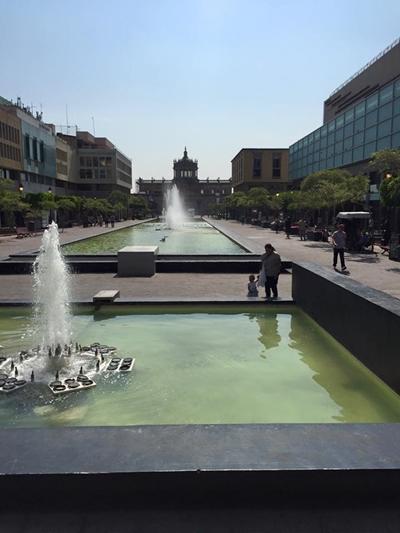 Vandkunst i Guadalajara Byliv i Mexico
