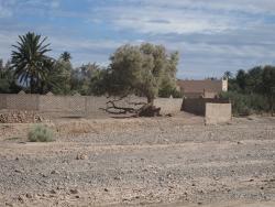 Medicin & Sundhed i Morocco Louise Nørreslet Gimsing