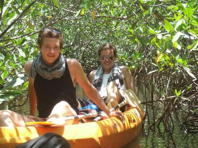 Exploring the mangroves Exploring the mangroves