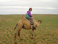 Riding a camel Riding a camel