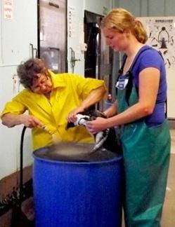 Dierenverzorgingsproject in Zuid-Afrika door Bibi Rombouts