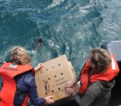 Dierenverzorgingsproject in Zuid-Afrika door Bibi Rombouts