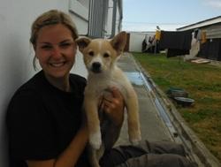 Dierenverzorgingsproject in Zuid-Afrika door Bibi Rombouts