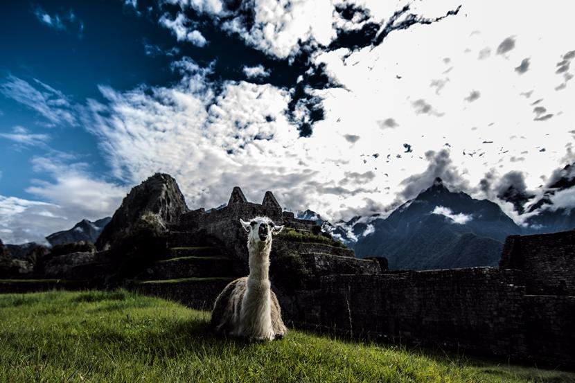 machupicchu machupicchu