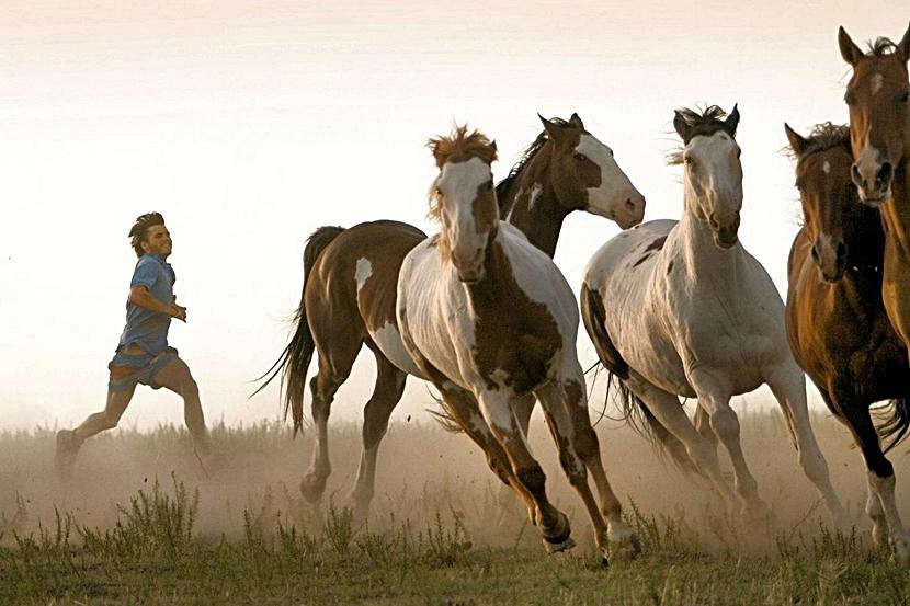 Into the Wild Into the Wild