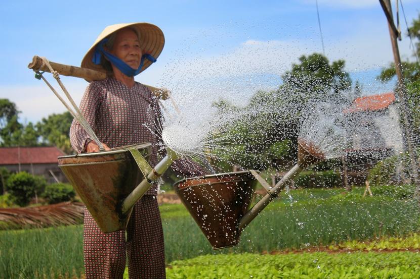 Ladyfarmer Ladyfarmer
