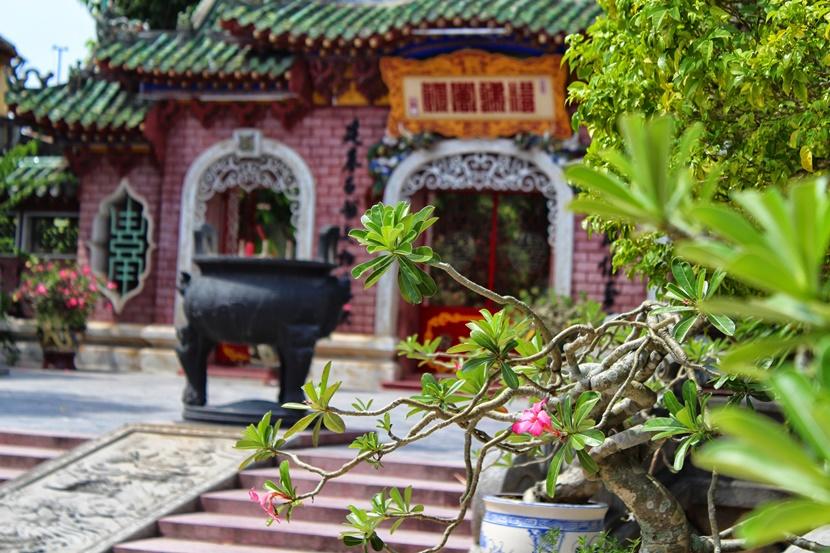 Pinktemple Pinktemple