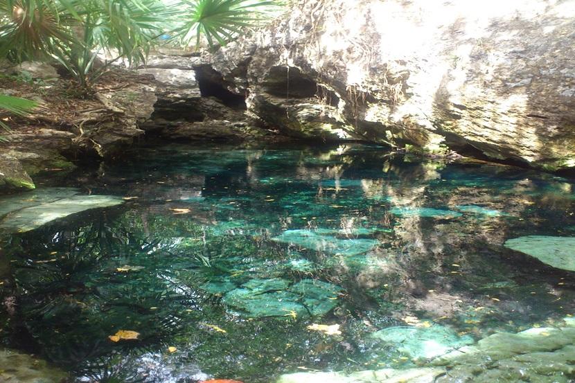 Cenotes grotterne i Mexico Snorkling i grotter