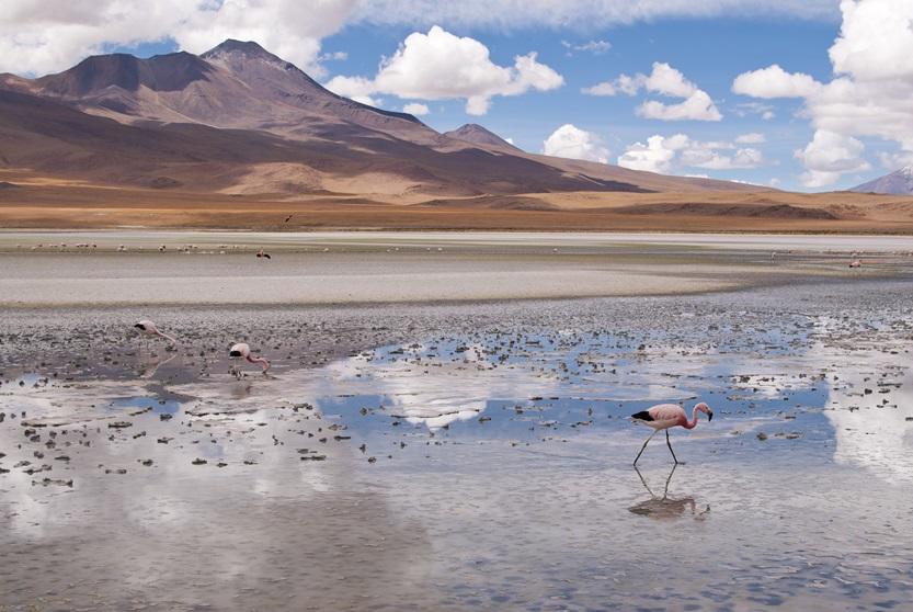 Bolivia blog Bolivia blog