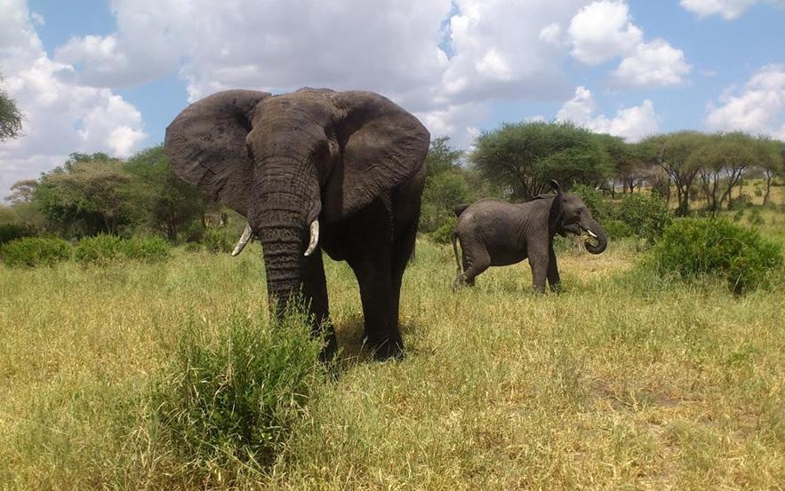 Annes tur til Tanzania Annes tur til Tanzania
