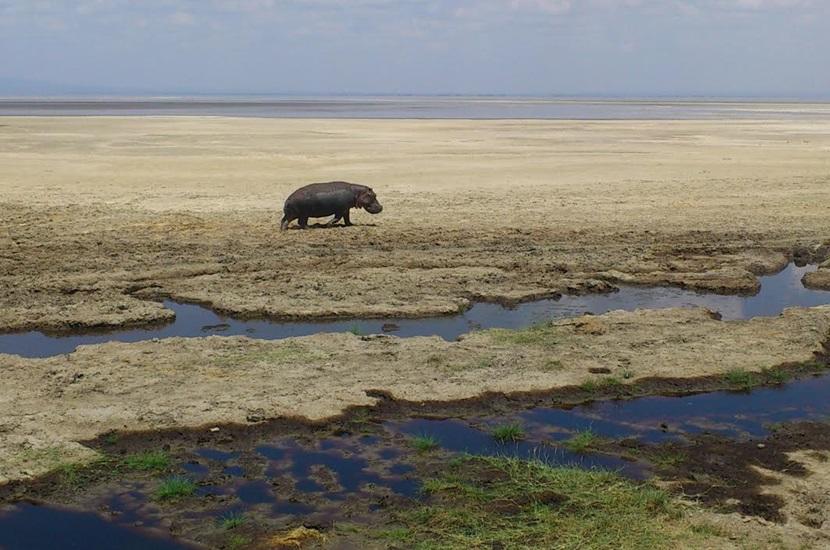 Annes tur til Tanzania Annes tur til Tanzania