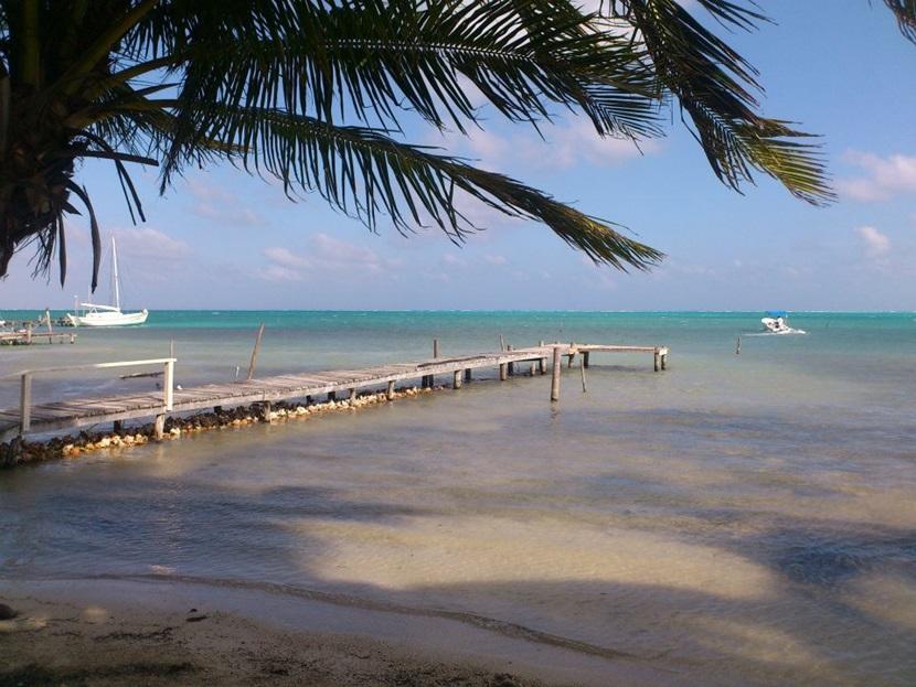 Dykkerentusiaster fra hele verden flokkes til Belize Kaj i Belize med turister