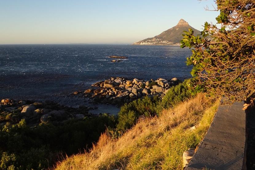 Lion’s Head Lion’s Head