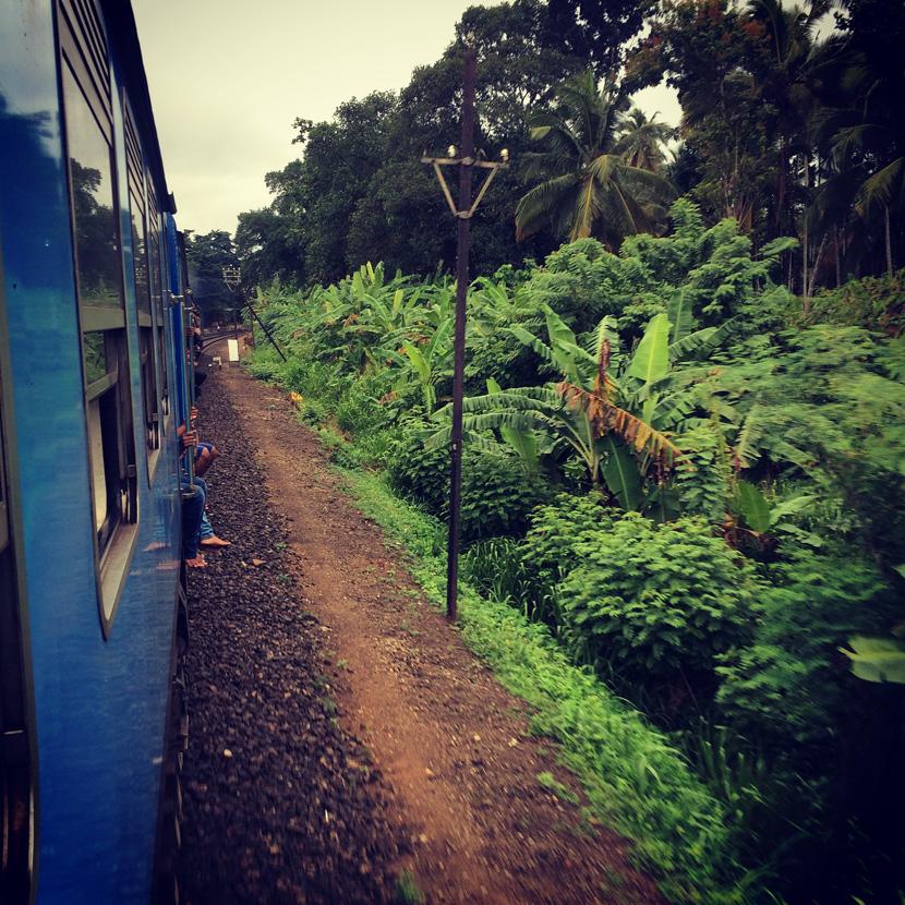 Un’immagine scattata dal treno in Sri Lanka Foto scattata dal trenino blu in Sri Lanka