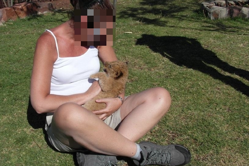Een welpje wordt geknuffeld door een toerist Een tourist knuffelt een welpje in Afrika