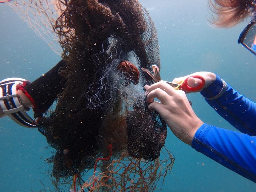 Natuurbehoud vrijwilliger die een krab bevrijd uit een visnet Een Projects Abroad vrijwilliger snijd een krab los uit een visnet