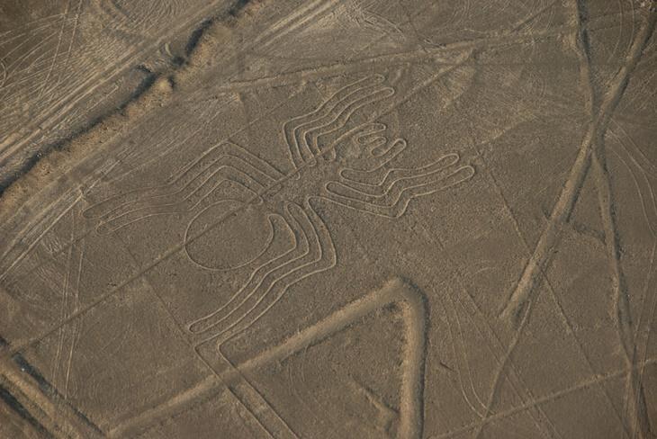 The Nazca Lines The Nazca Lines