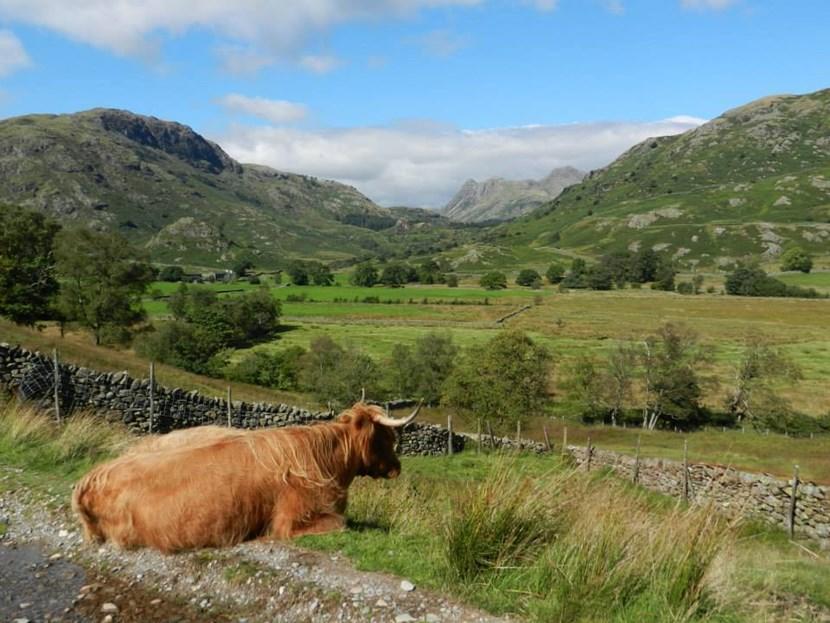 Little Langdale in the Lake District Little Langdale in the Lake District