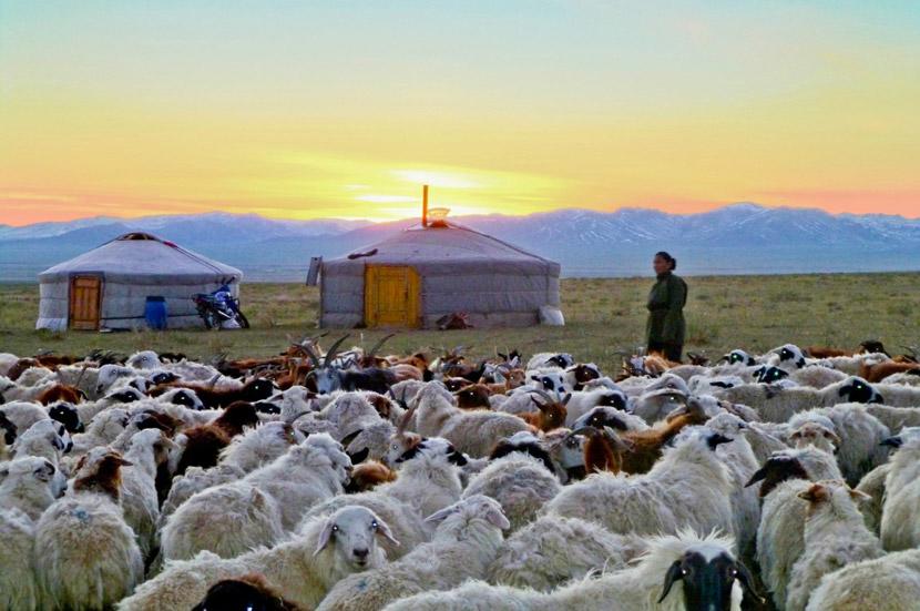 Sunset over the Mongolian steppe Sunset over the Mongolian steppe