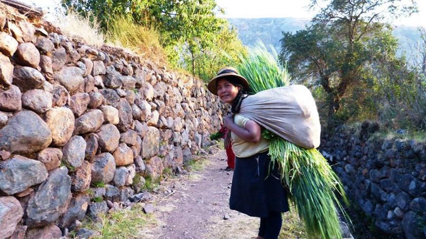 Local woman in Peru Local woman in Peru