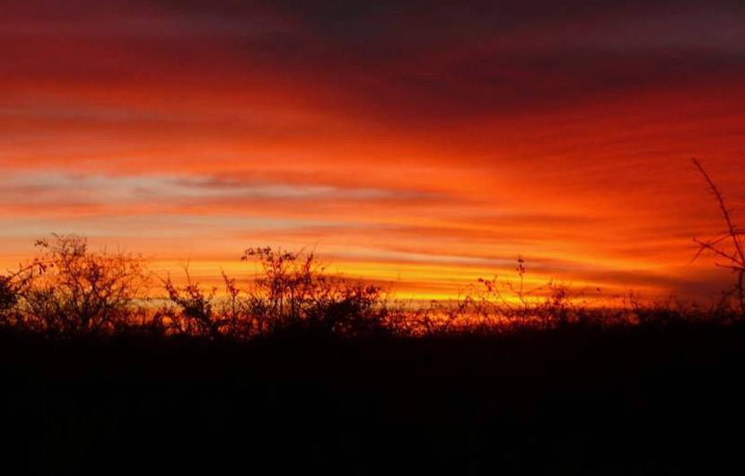 South African sunset South African sunset