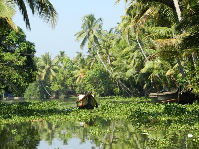 The Keralan backwaters The Keralan backwaters