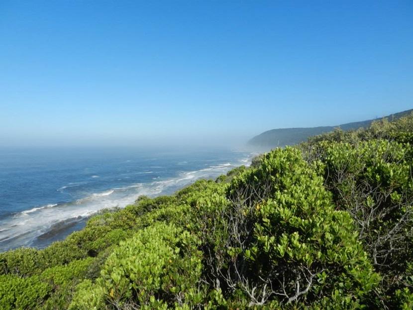 Storms River Mouth Storms River Mouth