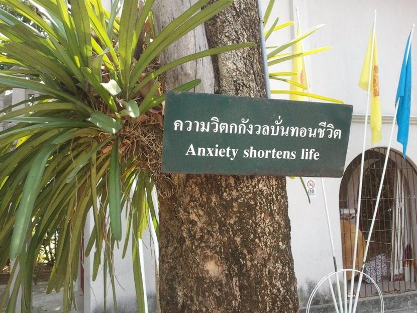 Anxiety shortens life Anxiety shortens life