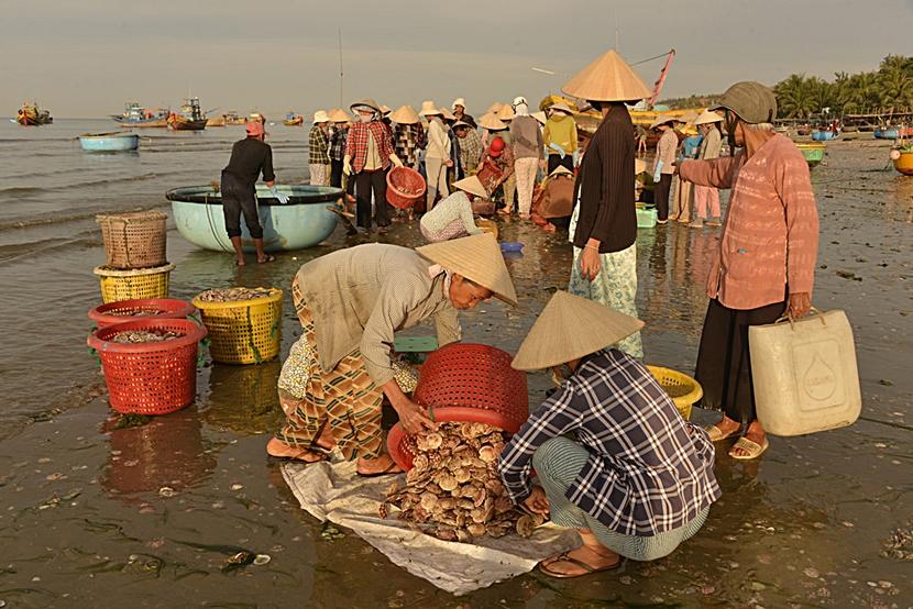 Things to do in Vietnam Things to do in Vietnam