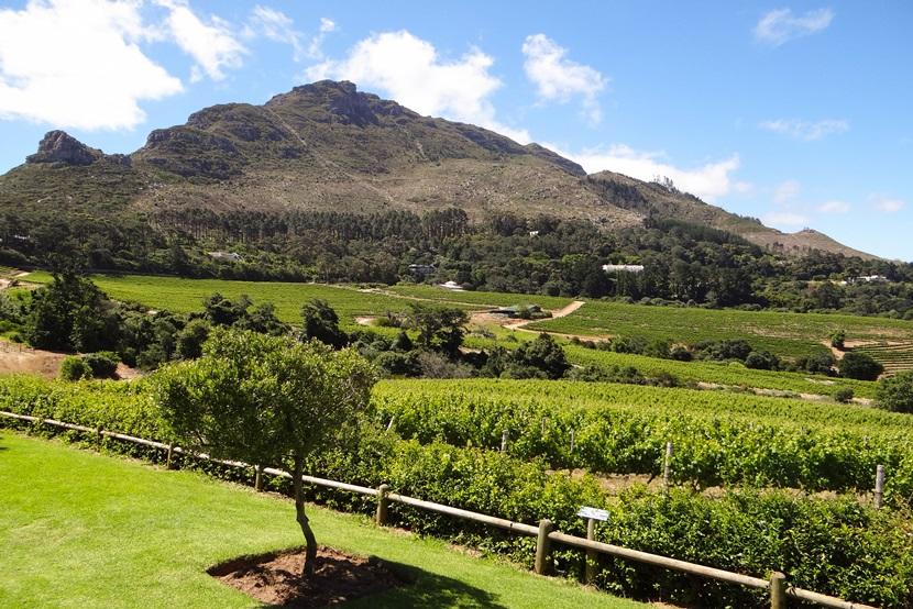 Constantia Glen Constantia Glen