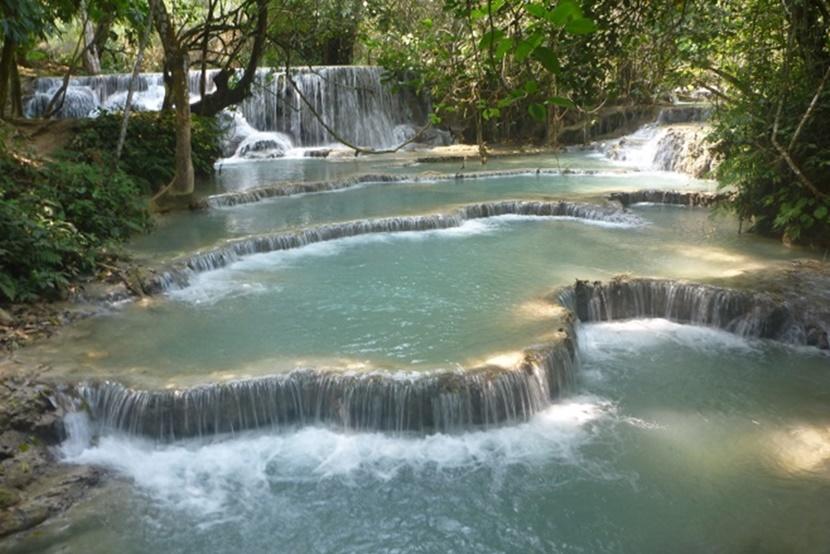 A flowing waterfall amongst the trees A cascading waterfall