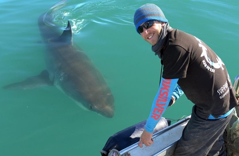 A man leans over the boat to see a shark A man and a shark
