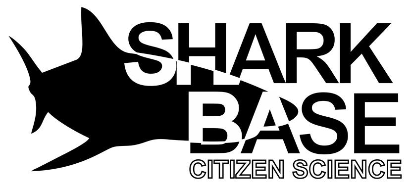 SharkBase logo The logo of SharkBase