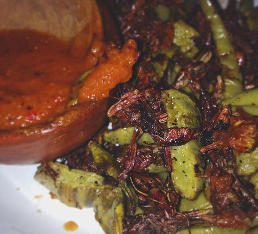 Mexican dish with fried grasshoppers Fried grasshoppers