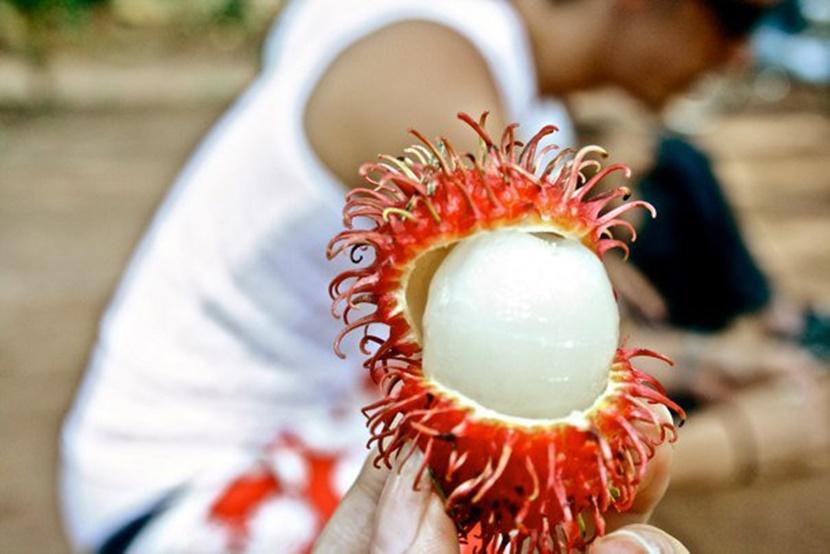 Rambutan fruit A Rambutan in Zanzibar