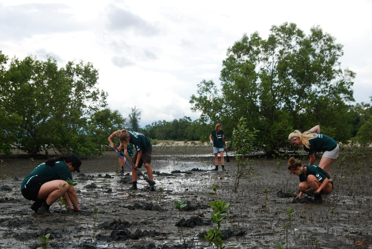 A high school student on one of our best volunteer abroad programmes for teenagers transplants mangroves in Thailand A teenage volunteer works with mangroves at the Conservation & Community High School Special in Thailand.