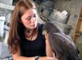 Veterinary Medicine & Animal Care - Training Falcons in Mexico Veterinary Medicine & Animal Care - Training Falcons in Mexico