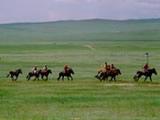 Horse Racing in Mongolia