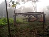 The pilot farm
