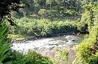 The river