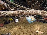 Plastic litter on the beach