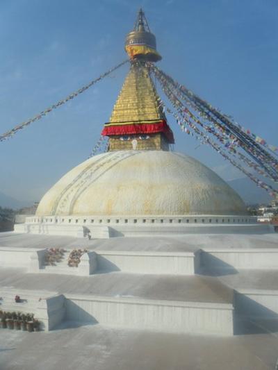 Naturschutz - Projekt in Nepal