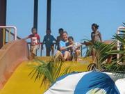 At the top of the slide