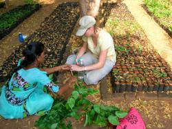 35 Learning how to prune at the CCD
