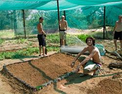 Ecovolontaires travaillant dans le jardin Ecovolontaires travaillant dans le jardin