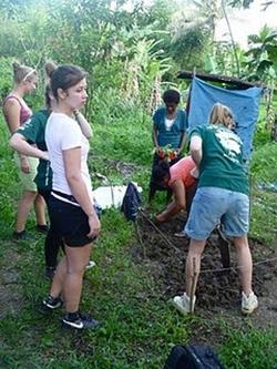 Plantation de légumes dans le jardin. humanitaire aux Fidji